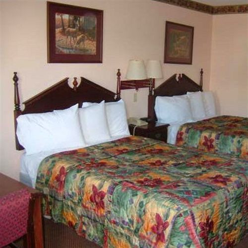 Clairmont Inn & Suites - Warren Camera foto